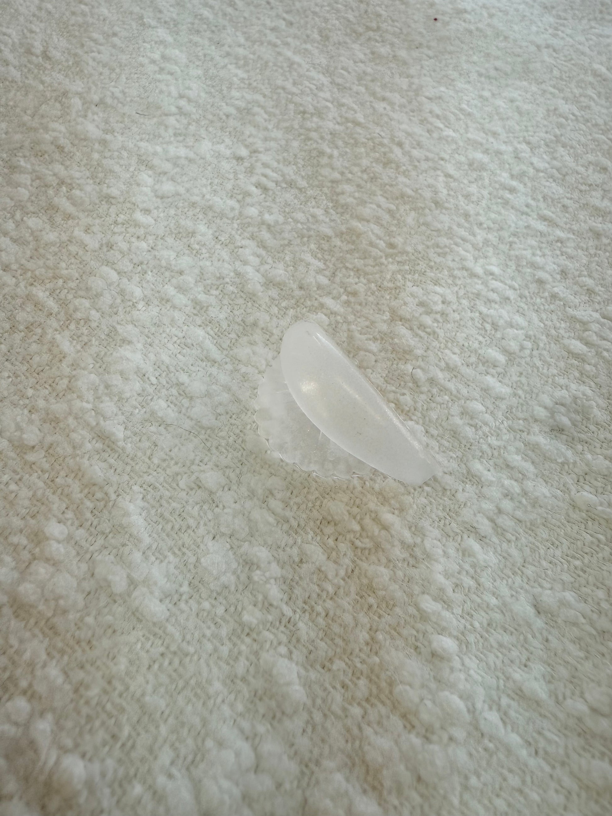 Elevation lash and brow lift coussinets coquillage